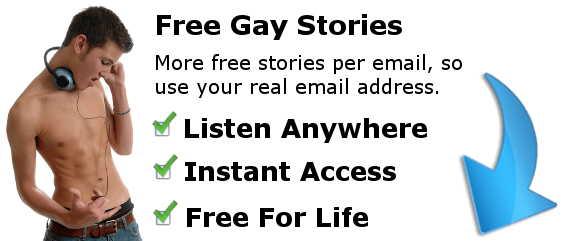 public gay sex storys